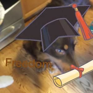 Meet your Posher, Mason